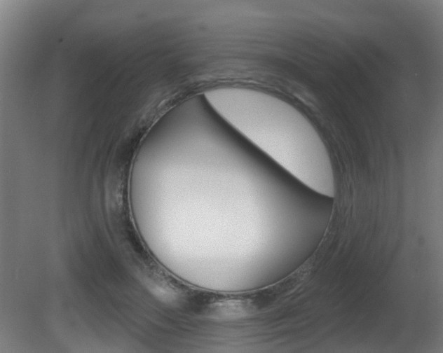 X0000081400499200701111237