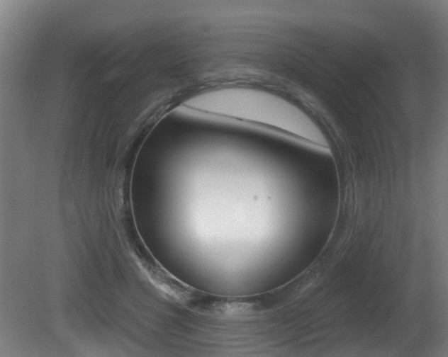 X0000081400501200701111237