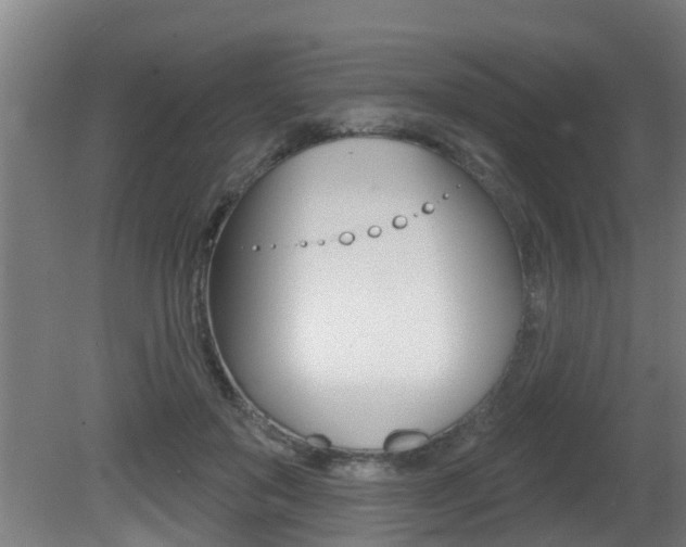 X0000081400503200701111237