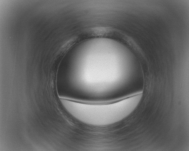 X0000081400505200701111237