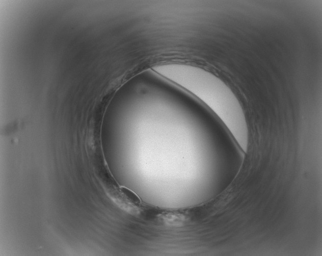 X0000081400512200701111236