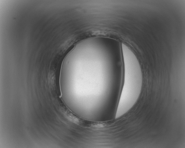 X0000081400513200701111236