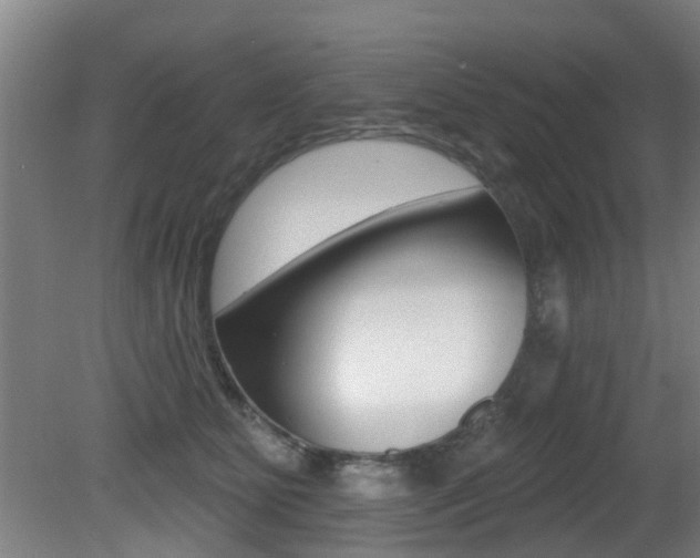 X0000081400515200701111236