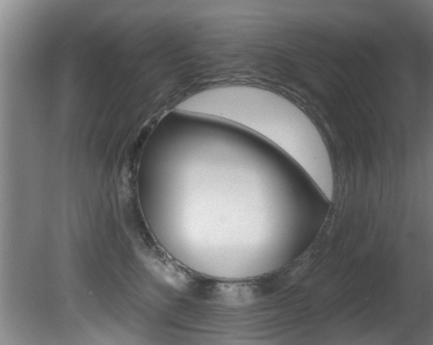 X0000081400520200701111236