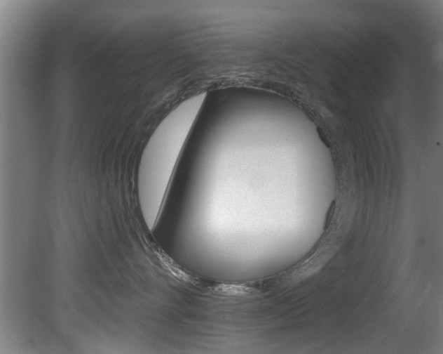 X0000081400528200701111236