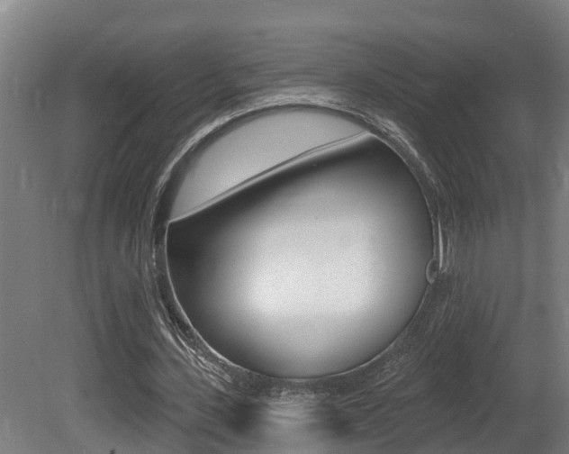 X0000081400531200701111235