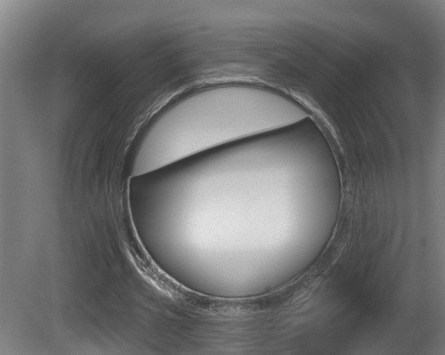 X0000081400533200701111235