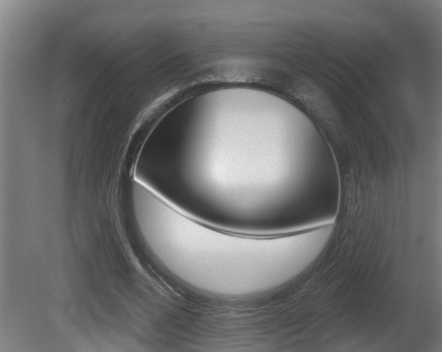 X0000081400536200701111236