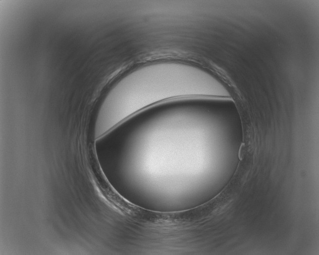 X0000081400538200701111236