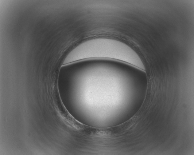 X0000081400546200701111236