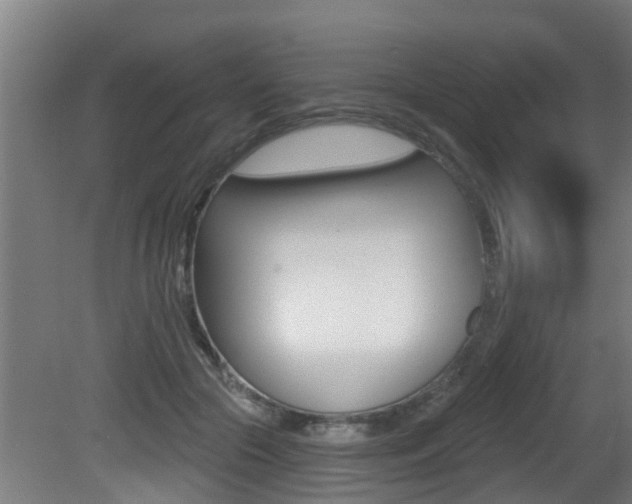 X0000081400553200701111236
