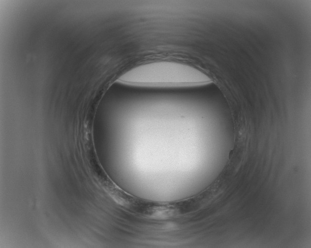 X0000081400555200701111236
