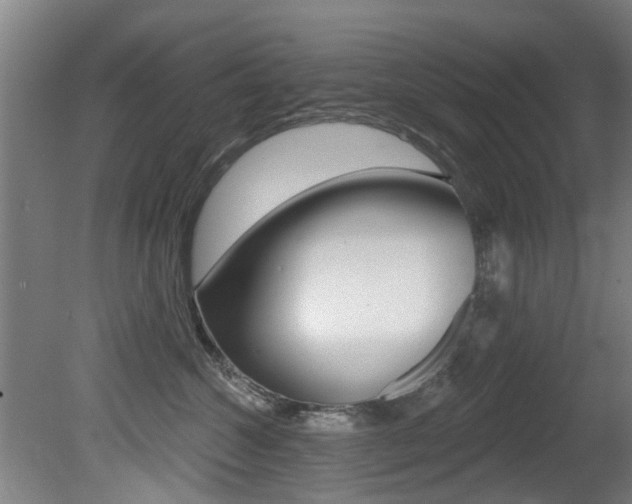 X0000081400572200701111236