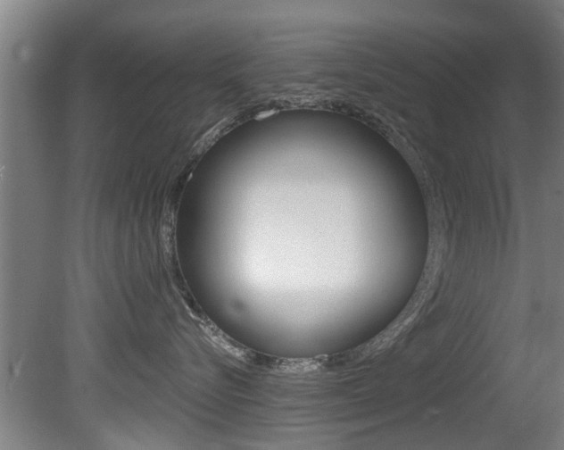 X0000081400576200701111236