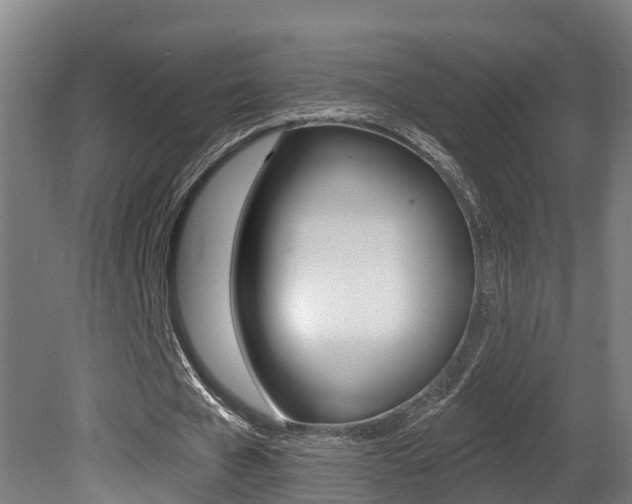 X0000081400577200701111235