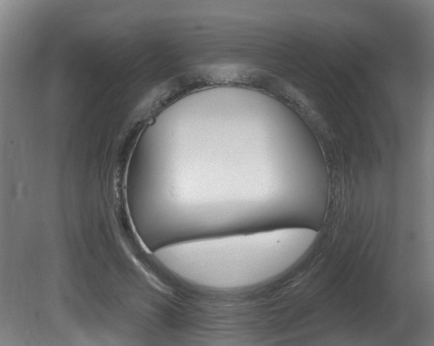 X0000081400590200701111235