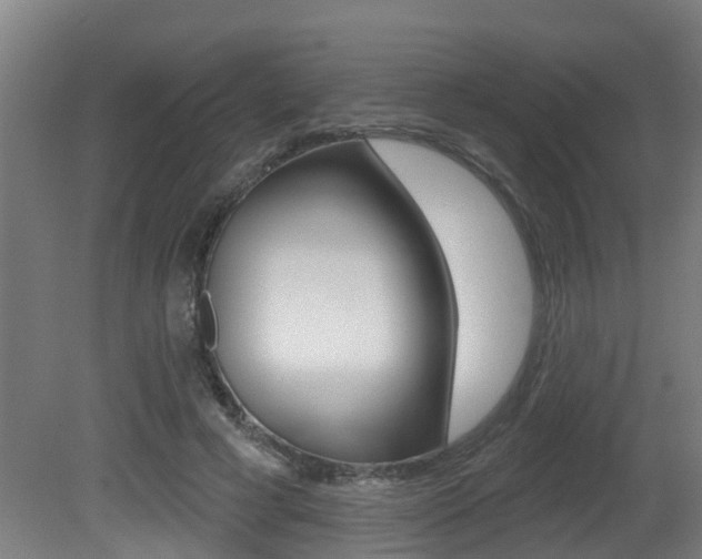 X0000081400593200701111235