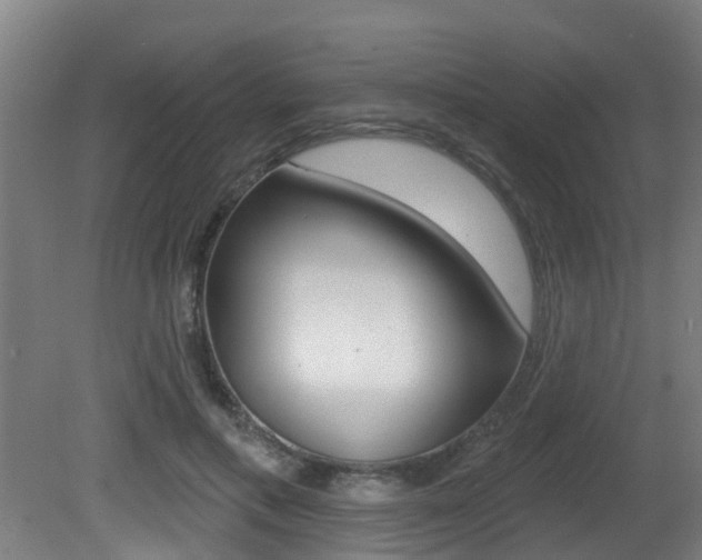 X0000081400597200701111235