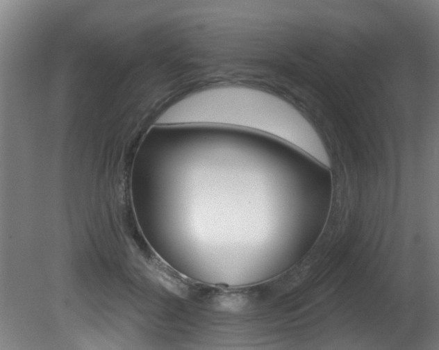 X0000081400604200701111235