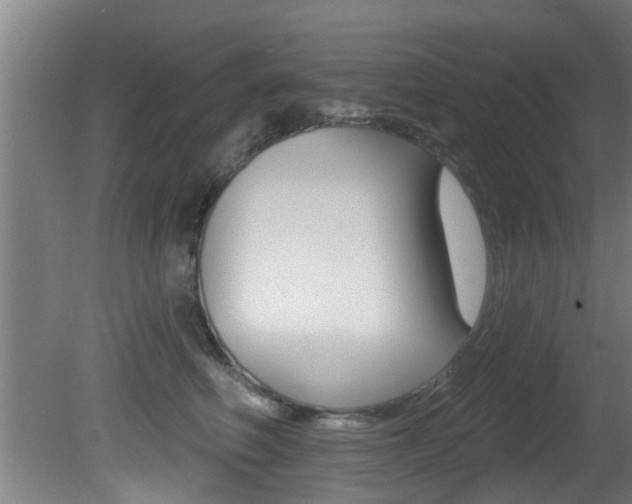 X0000081400614200701111235
