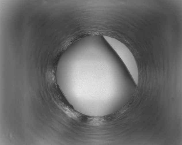 X0000081400621200701111235