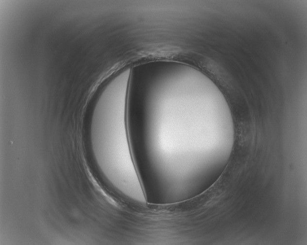 X0000081400634200701111234