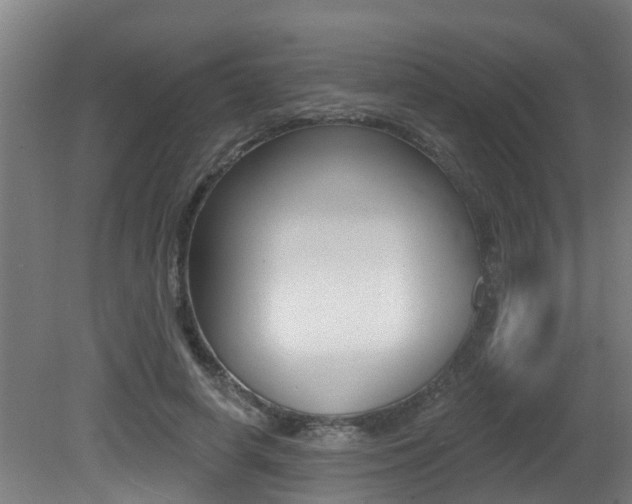 X0000081400642200701111234