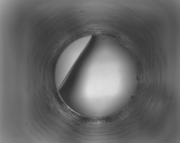 X0000081400646200701111234