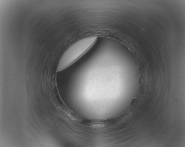 X0000081400653200701111234