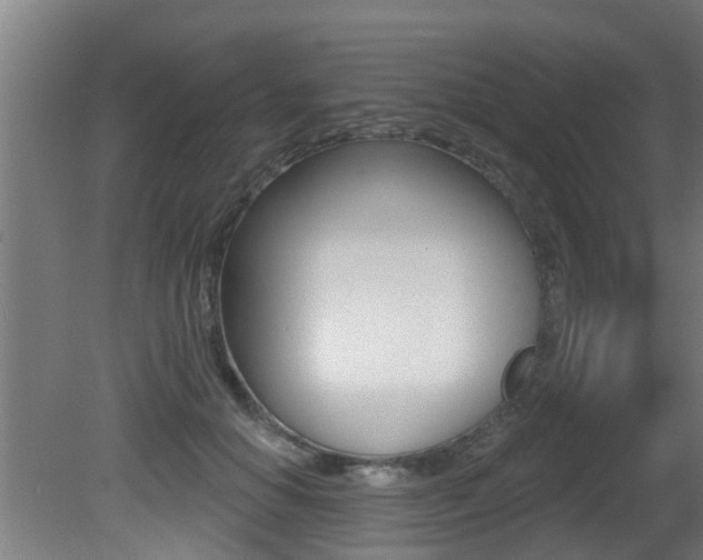 X0000081400654200701111234