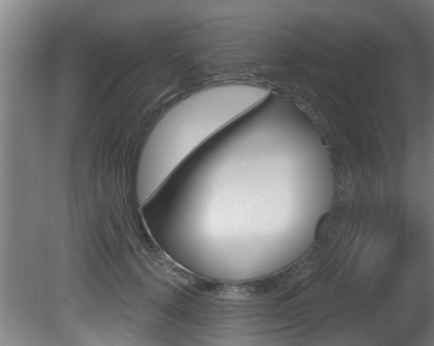 X0000081400656200701111234