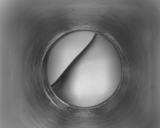 X0000081400674200701111234