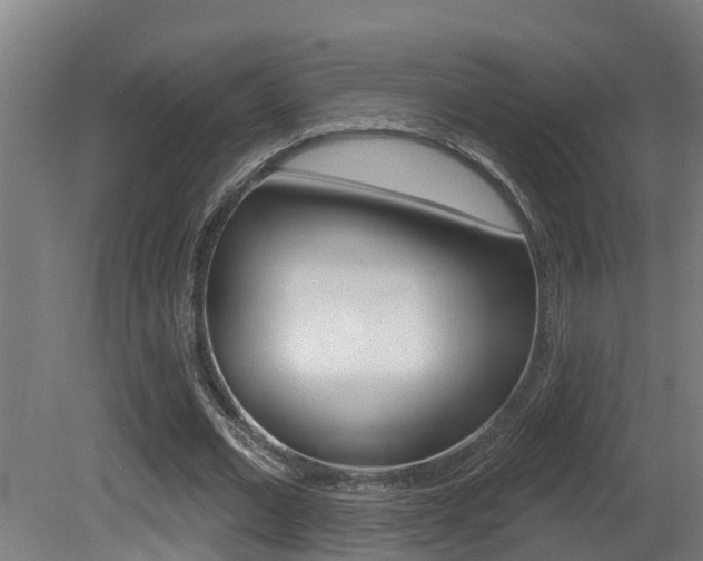 X0000081400677200701111234