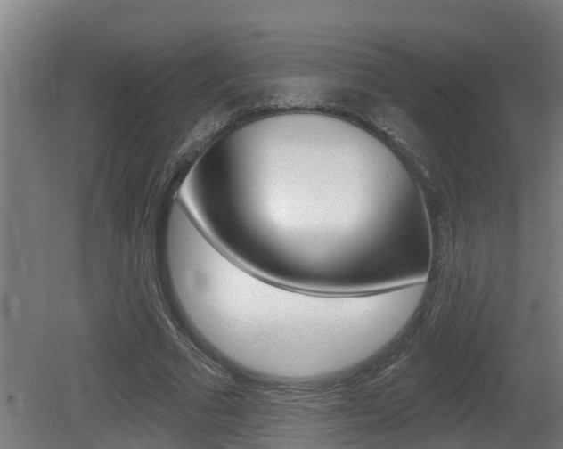 X0000081400681200701111234
