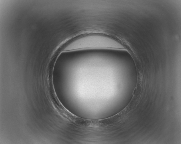 X0000081400684200701111234