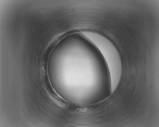 X0000081400688200701111233