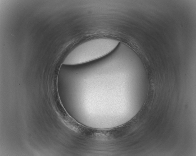 X0000081400690200701111233