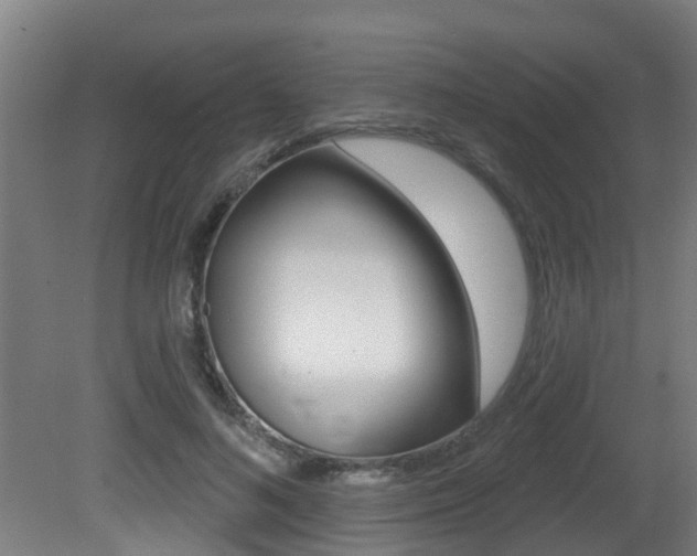X0000081400692200701111233