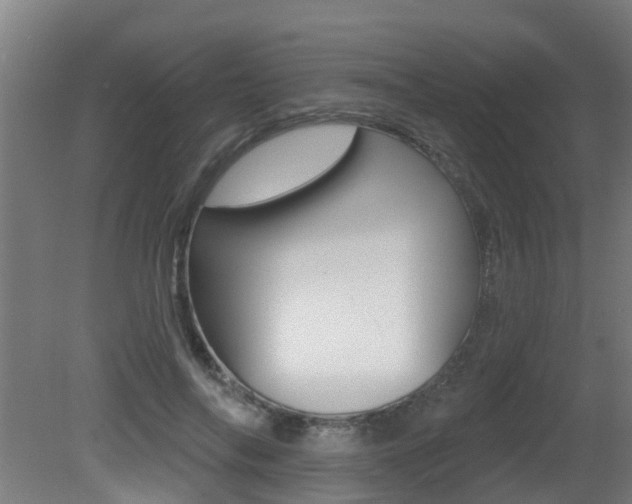 X0000081400694200701111233