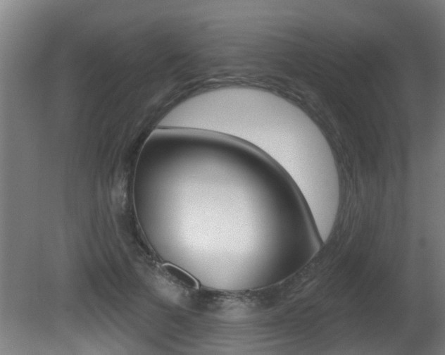 X0000081400697200701111233