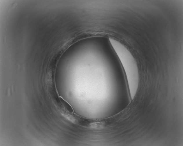 X0000081400700200701111233