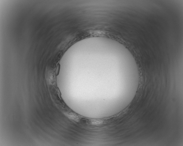 X0000081400709200701111233