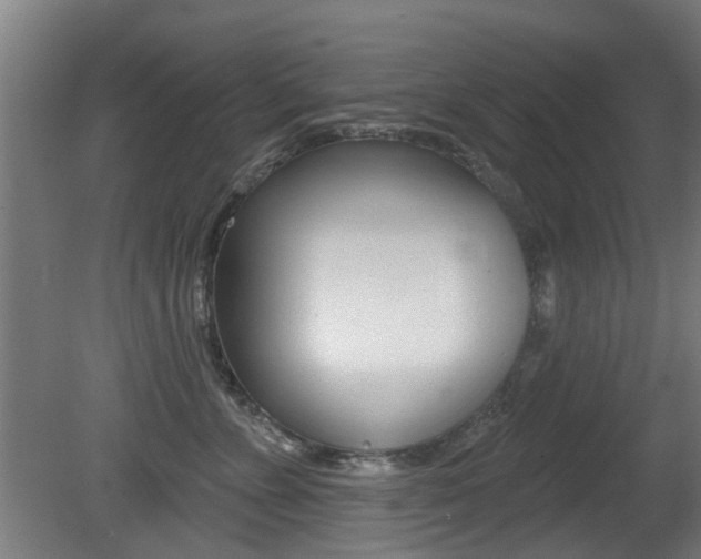 X0000081400715200701111233