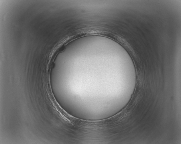 X0000081400721200701111232