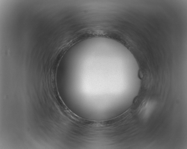 X0000081400747200701111233