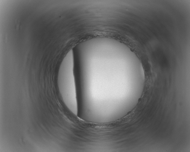 X0000081400749200701111233