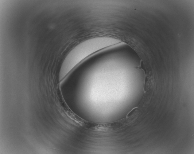 X0000081400756200701111233