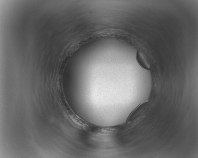 X0000081400758200701111233