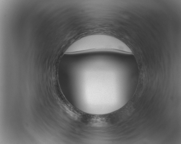 X0000081400760200701111233