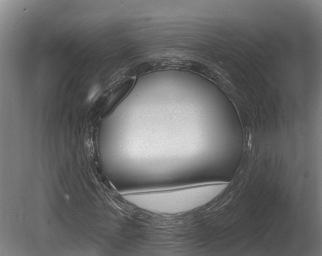 X0000081400771200701111232
